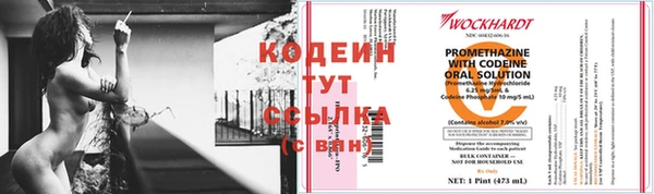 хмурый Карпинск