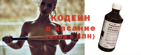 хмурый Карпинск