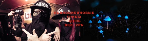 хмурый Карпинск