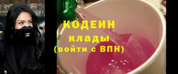 хмурый Карпинск