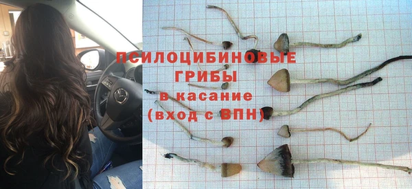 хмурый Карпинск