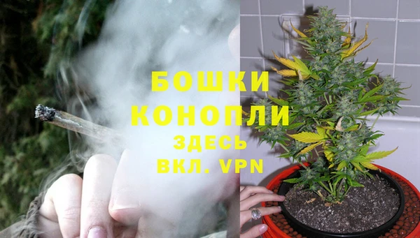 хмурый Карпинск