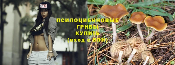 Альфа ПВП Касимов