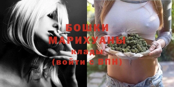 хмурый Карпинск