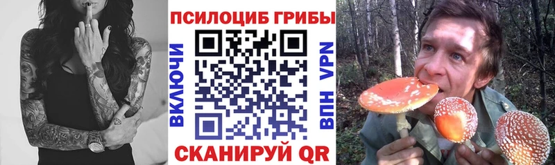 Купить  Бодайбо  Псилоцибиновые грибы мухоморы 