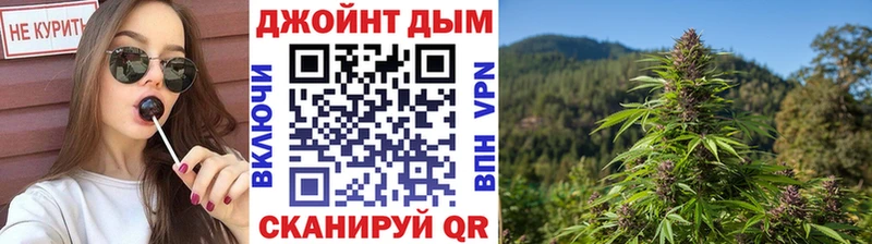 Купить закладки  Бодайбо  МАРИХУАНА сатива 